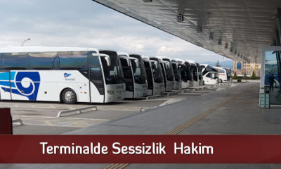 Terminalde Sessizlik  Hakim