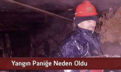 Yangın Paniğe Neden Oldu