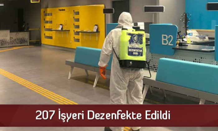 207 İşyeri Dezenfekte Edildi