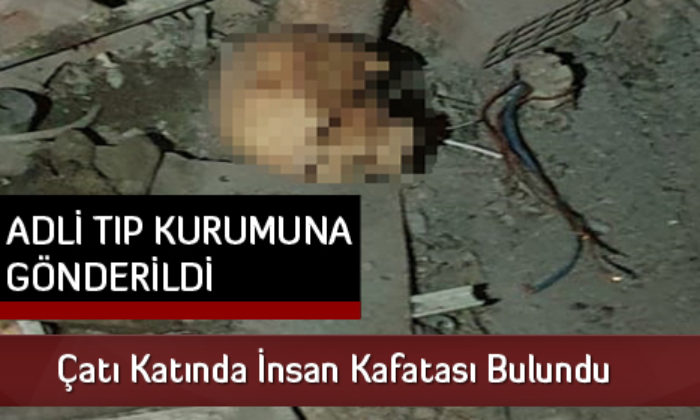 Çatı Katında İnsan Kafatası Bulundu