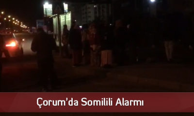Çorum’a Gelen 20 Somalili, Polisi Alarma Geçirdi