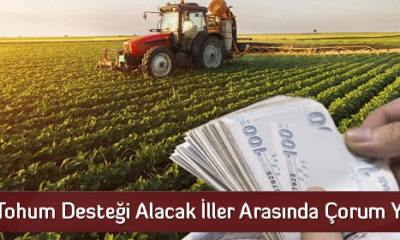 Tohum Desteği Alacak İller Arasında Çorum Yok