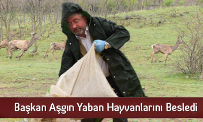 Başkan Aşgın Yaban Hayvanlarını Besledi