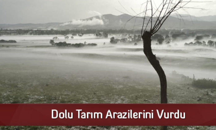 Dolu Tarım Arazilerini Vurdu