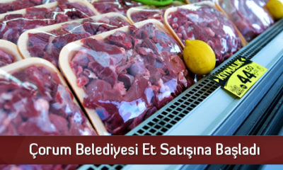Çorum Belediyesi Et Satışına Başladı