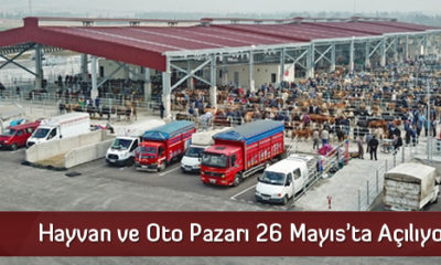 Hayvan ve Oto Pazarı 26 Mayıs’ta Açılıyor