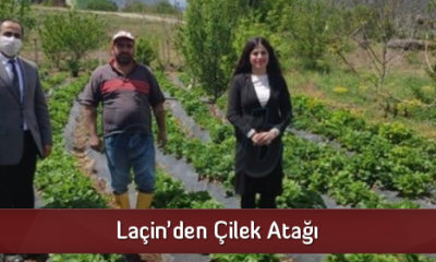 Laçin’den Çilek Atağı