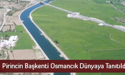 Pirincin Başkenti Osmancık Dünyaya Tanıtıldı