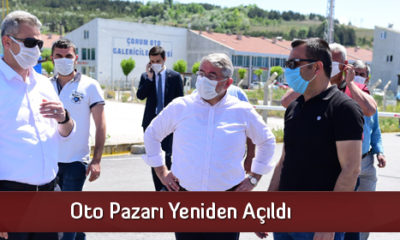 Oto Pazarı Yeniden Açıldı