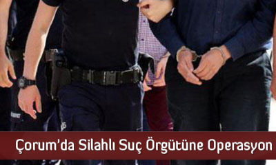 Çorum’da Silahlı Suç Örgütüne Operasyon