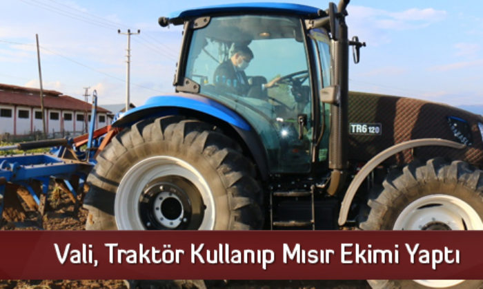 Vali, Traktör Kullanıp Mısır Ekimi Yaptı