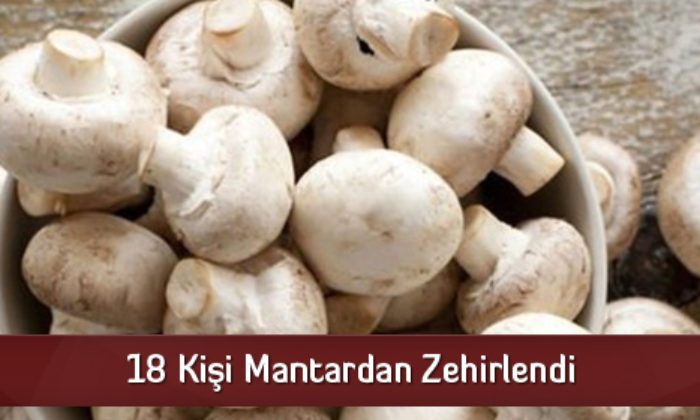 18 Kişi Mantardan Zehirlendi
