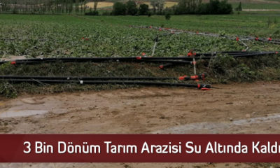 3 Bin Dönüm Tarım Arazisi Su Altında Kaldı