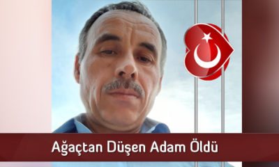 Ağaçtan Düşen Adam Öldü