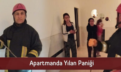 Apartmanda Yılan Paniği