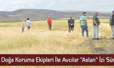 Doğa Koruma Ekipleri İle Avcılar “Aslan” İzi Sürdü