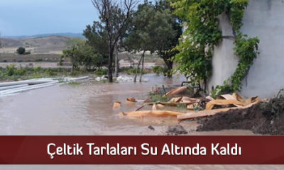 Çeltik Tarlaları Su Altında Kaldı