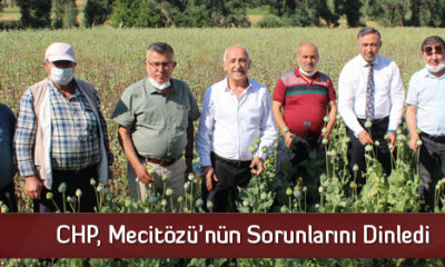 CHP, Mecitözü’nün Sorunlarını Dinledi