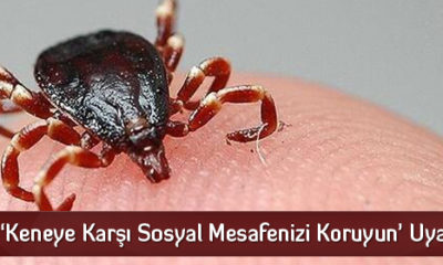 ‘Keneye Karşı Sosyal Mesafenizi Koruyun’ Uyarısı