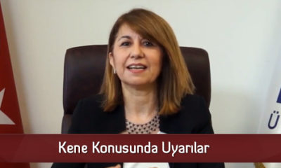 Kene Konusunda Uyarılar