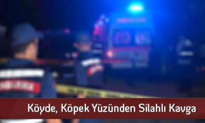 Köyde, Köpek Yüzünden Silahlı Kavga