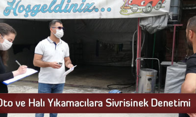 Oto ve Halı Yıkamacılara Sivrisinek Denetimi