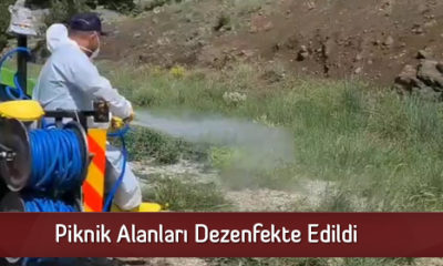 Piknik Alanları Dezenfekte Edildi