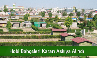 Hobi Bahçeleri Kararı Askıya Alındı