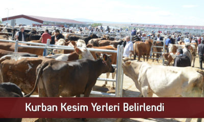 Belediyeden Kurban Bayramı Tedbirleri
