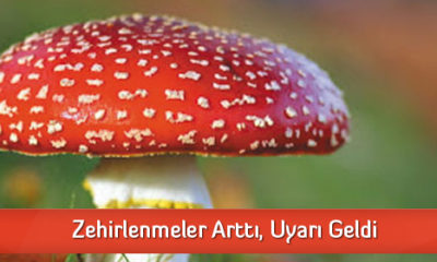 Zehirlenmeler Arttı, Uyarı Geldi