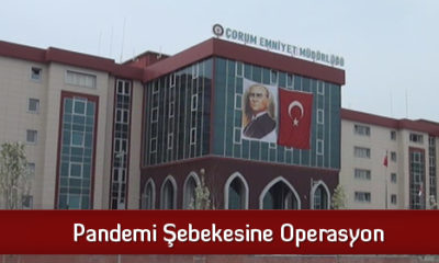 Pandemi Şebekesine Operasyon