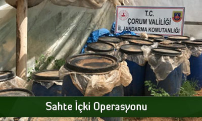 Sahte İçki Operasyonu