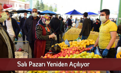Salı Pazarı Yeniden Açılıyor