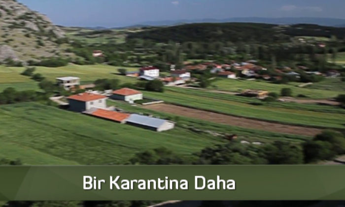 Bir Karantina Daha