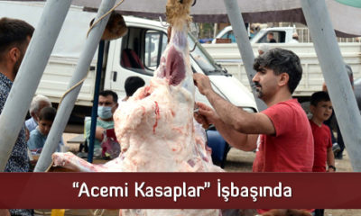 “Acemi Kasaplar” İşbaşında