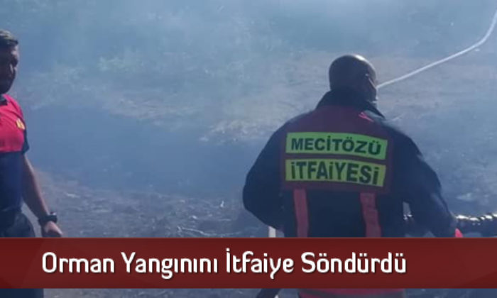 Orman Yangınını İtfaiye Söndürdü