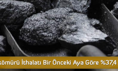 Taşkömürü İthalatı Bir Önceki Aya Göre %37,4 Arttı
