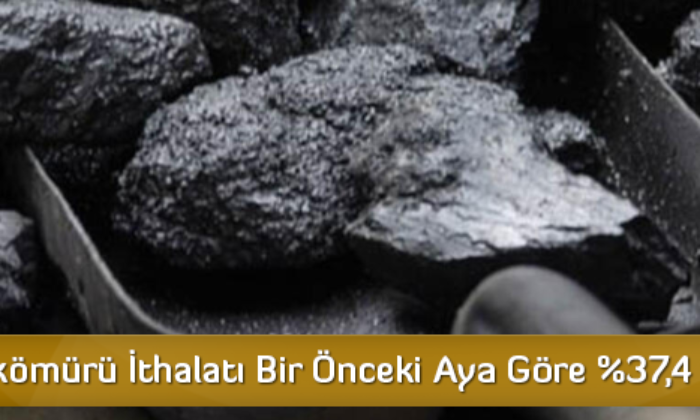 Taşkömürü İthalatı Bir Önceki Aya Göre %37,4 Arttı