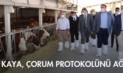 Yılmaz Kaya, Çorum Protokolünü Ağırladı