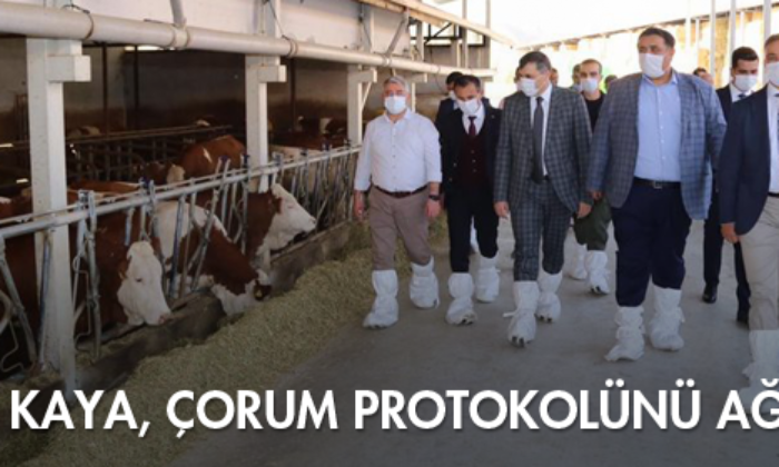 Yılmaz Kaya, Çorum Protokolünü Ağırladı