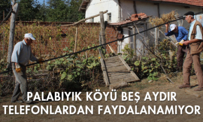 Palabıyık Köyü Beş Aydır Telefonlardan Faydalanamıyor