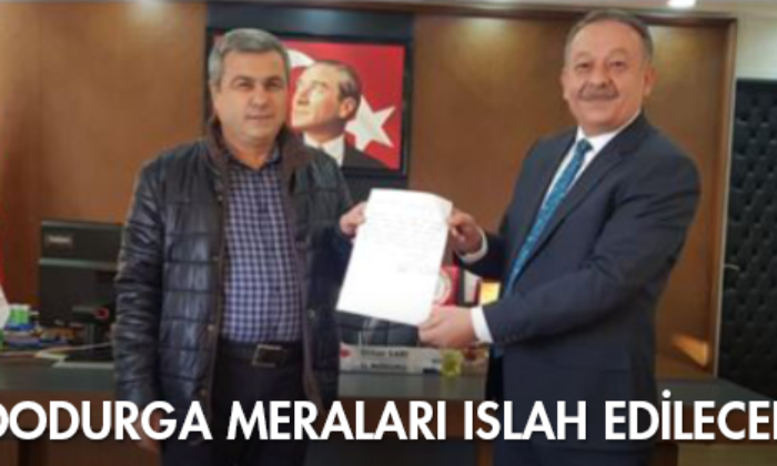 Dodurga Meraları Islah Edilecek