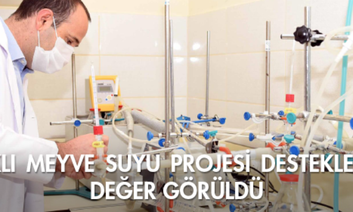 Sağlıklı Meyve Suyu Projesi Desteklenmeye Değer Görüldü