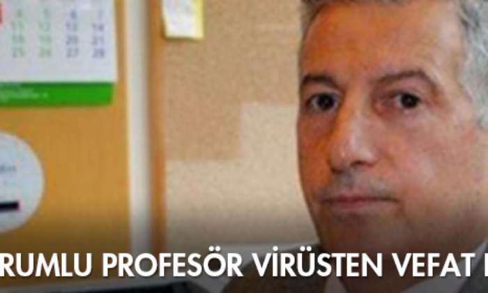 Çorumlu Profesör Virüsten Vefat Etti