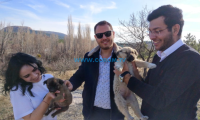 DEVA Partisi Sokak Hayvanları Unutmuyor