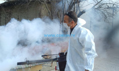 Sivrisineklere Karşı İlaçlama Yapıldı