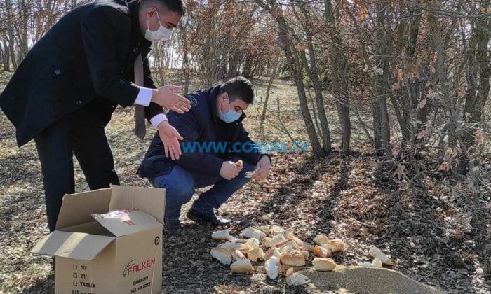 Sokak Hayvanları İhmal Edilmiyor