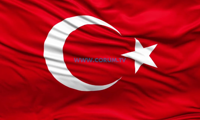 Vatan Evlatları Şehit Oldu