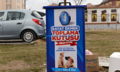 Bayat Ekmekler Bu Kutuya!