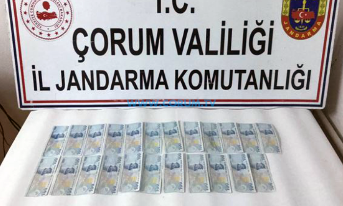 Hayvan Pazarında Sahte Para Yakalandı